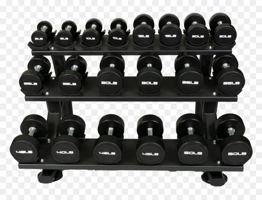 Gym Dumbbells Png, Transparent Png - gym dumbbells png