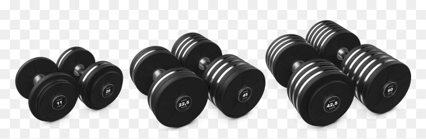 Eleiko Vulcano Disc Dumbbell Set, HD Png Download - gym dumbbells png