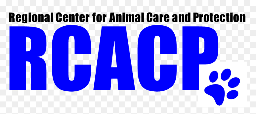 Transparent Petsmart Png - Poker Face Meme, Png Download - petsmart png
