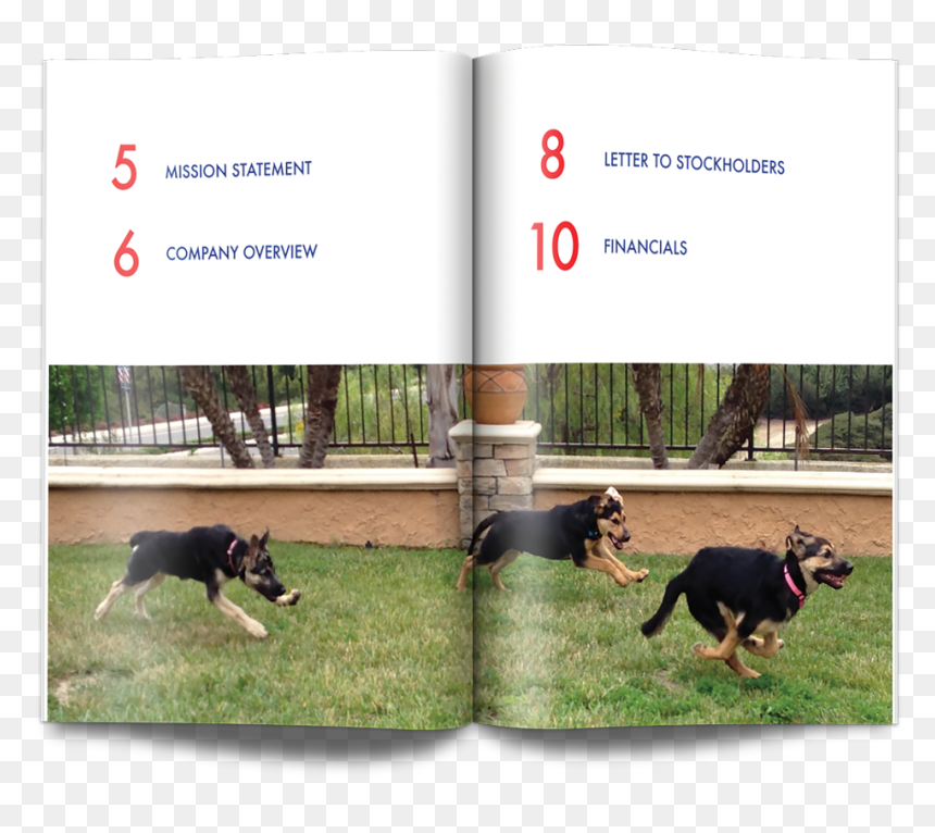 Dobermann, HD Png Download - petsmart png