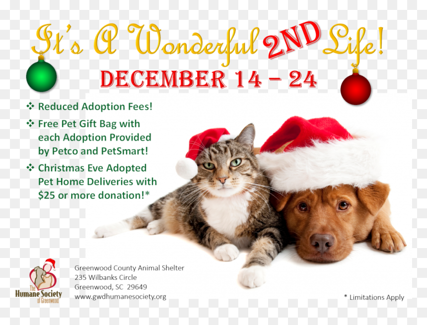 Its A Wonderful Second Life - Santa Dog And Cat, HD Png Download - petsmart png