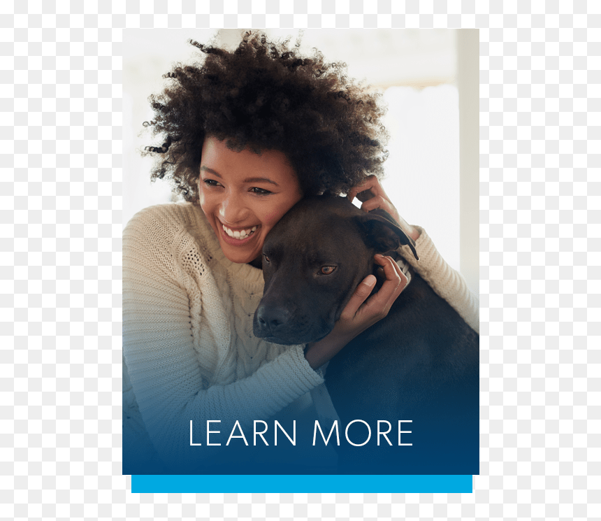 Learn More About Taylor Park Apartment Homes Amenities - Companion Dog, HD Png Download - taylor hill png