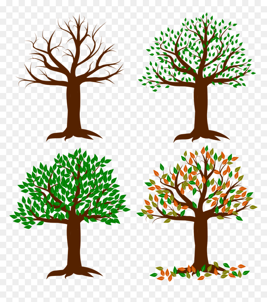 Seasons Of The Year In Sa, HD Png Download - seasons png