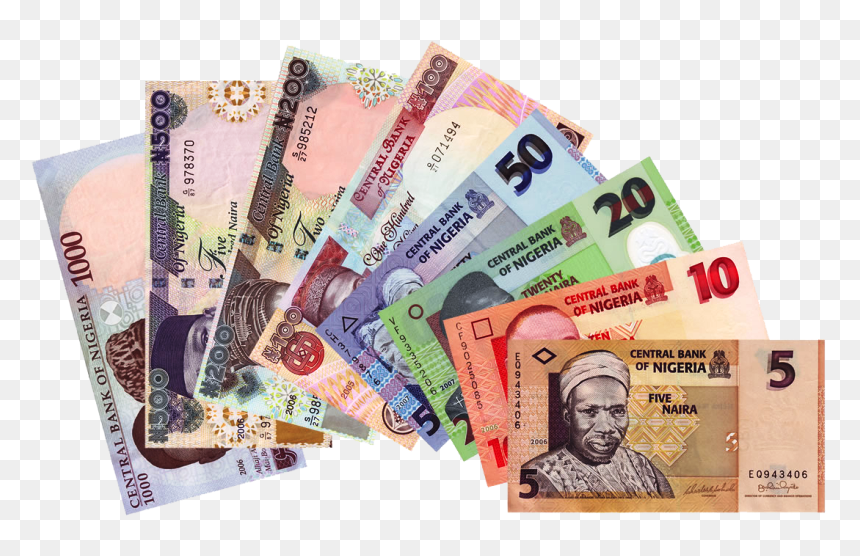 Hot Neigbourhood Business Ideas To Make Money - Currency Of Nigeria, HD Png Download - money symbols png