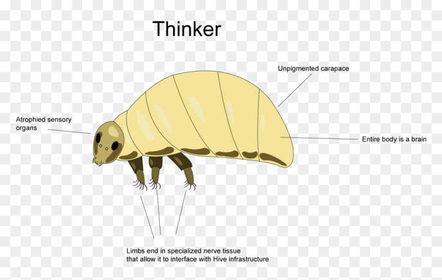 Thinker Png, Transparent Png - thinker png