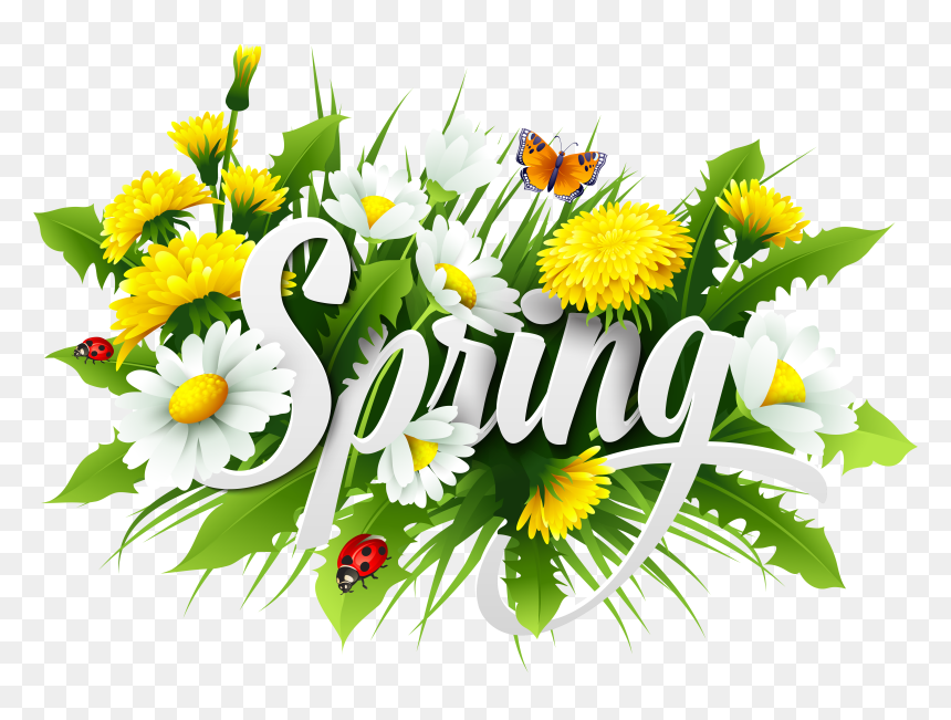 Spring Flower Bouquet Png Download - Camomile, Transparent Png - seasons png
