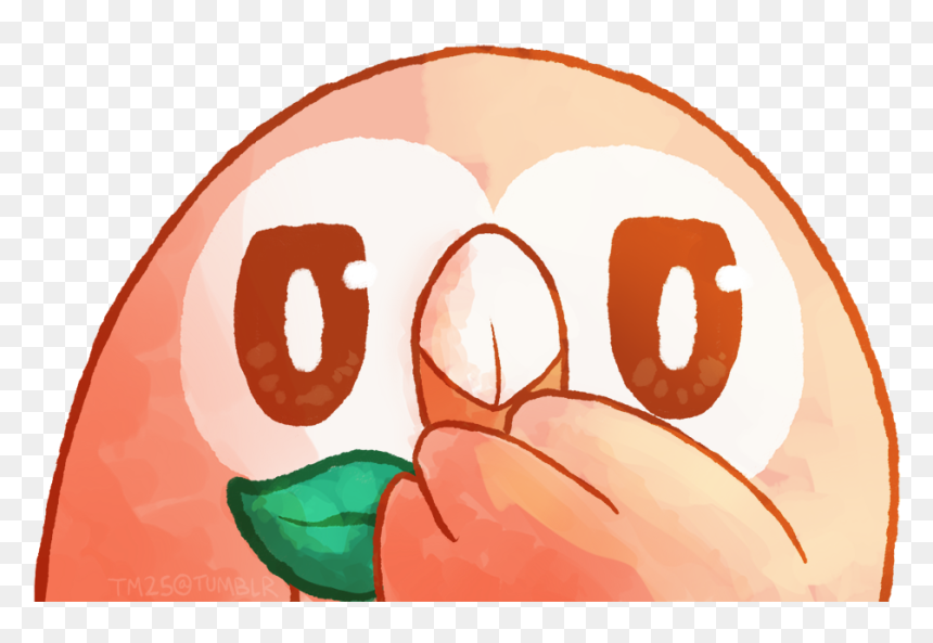 Mfw People Say “litten/popplio Is The Cutest/best Starter - Cartoon, HD Png Download - popplio png