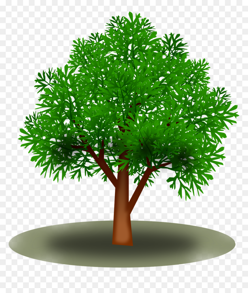 Tree Branch With Leaves Png, Transparent Png - tree branch with leaves png