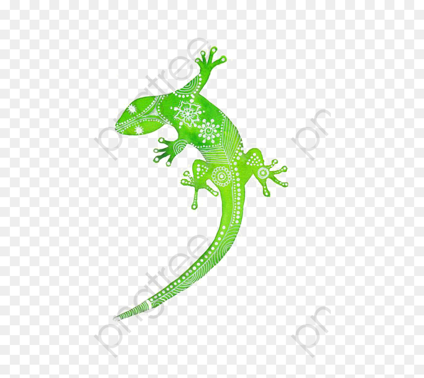 Cartoon Hand Painted Png - Dessin Gecko Vert, Transparent Png - real png