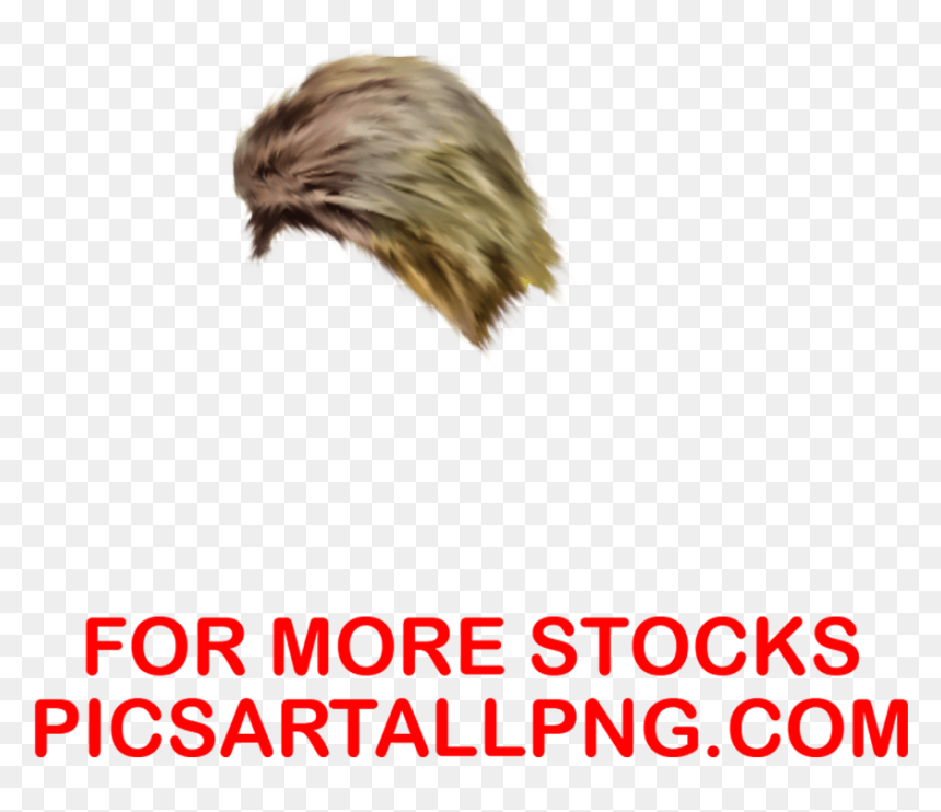 Sign, HD Png Download - cb edit hair png