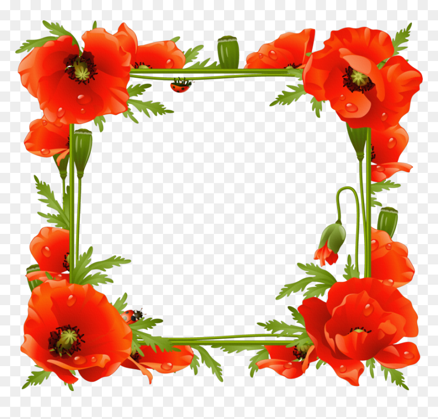 Transparent Frame Gallery Yopriceville - Transparent Poppy Frame, HD Png Download - png photo frame gallery