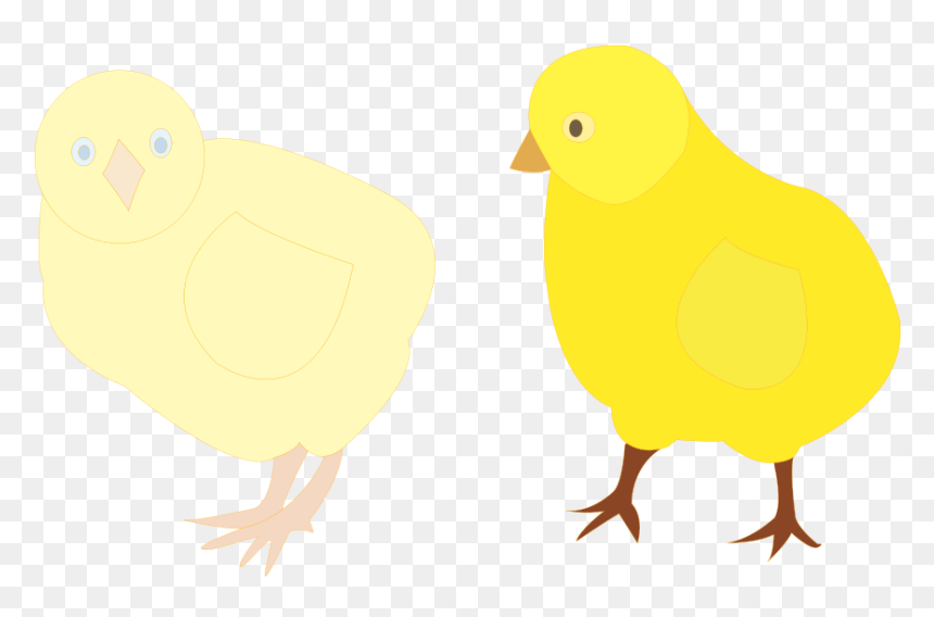Chicks Figure Color Svg Clip Arts - Chicken, HD Png Download - chicks png