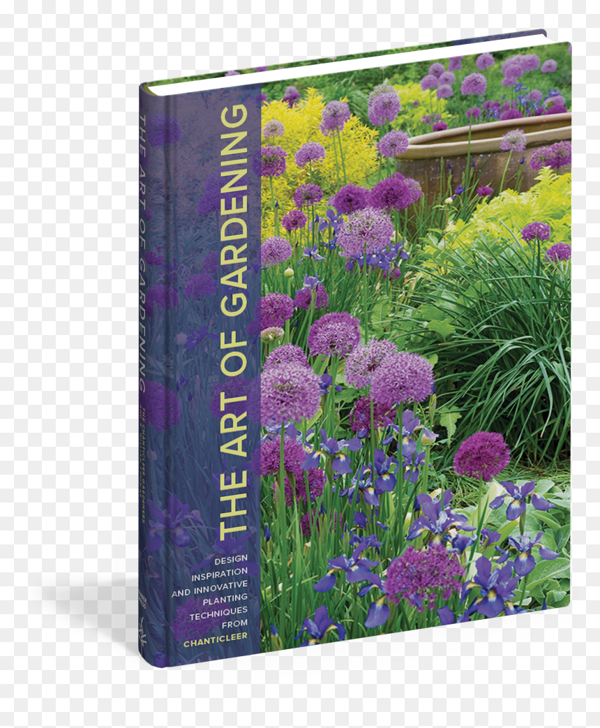 View Full Size Image - The Art Of Gardening: Design Inspiration And Innovative, HD Png Download - flower top view png