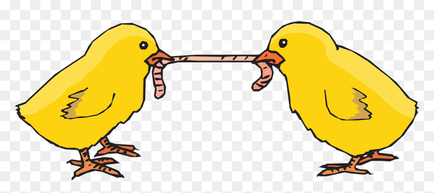 Chapter 18 1 Finding Order In Diversity, HD Png Download - chicks png