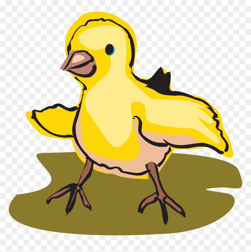 Transparent Baby Chicks Clipart - Baby Bird Walking Clipart, HD Png Download - chicks png