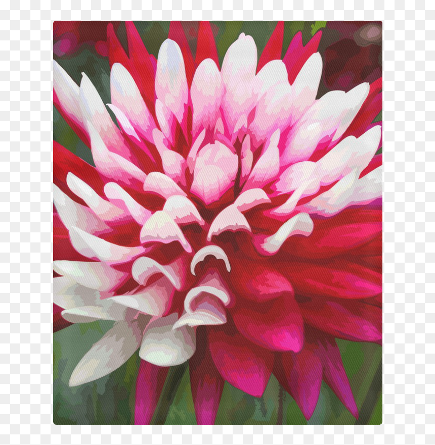 Dahlia, HD Png Download - dahlia flower png
