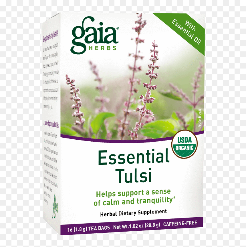 Medicinal Plant For Sinus, HD Png Download - tulsi tree png