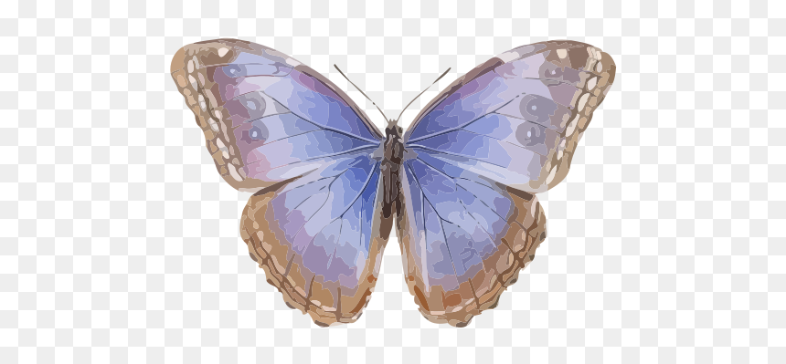 Menelaus Blue Morpho, HD Png Download - butterflies swarm png