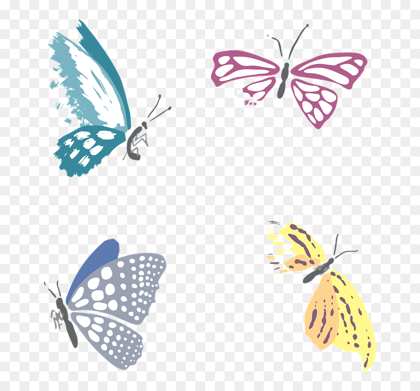 Butterfly, Dead, Death, Insect, Gloomy, Multi Color, HD Png Download - butterflies swarm png