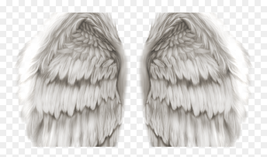 Hd Angel Wings Png , Png Download - Realistic Angel Wings Png, Transparent Png - wings png hd