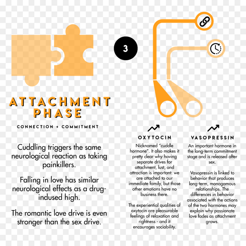 Science Behind Lust, HD Png Download - love png text effects