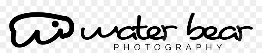 Water Bear Photography - Calligraphy, HD Png Download - photography png text