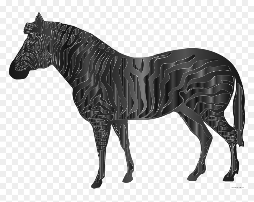 Transparent Mustang Head Clipart - Blue Zebra Png, Png Download - zebra png images