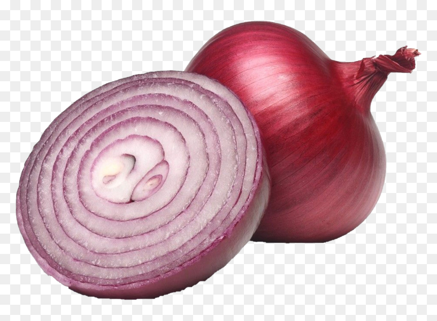 Onion Sliced In Half, HD Png Download - onion.png