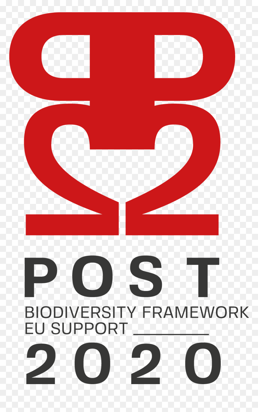 Graphic Design, HD Png Download - gulmohar tree png