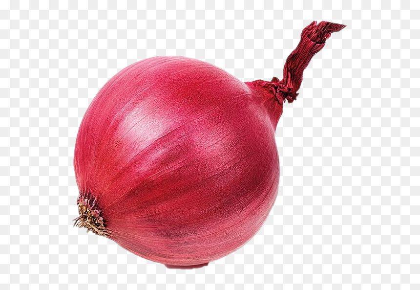 Onion.png, Transparent Png - onion.png