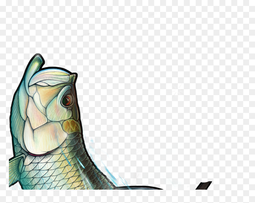 Cartoon, HD Png Download - fish group png