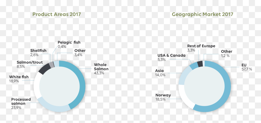 Circle, HD Png Download - fish group png