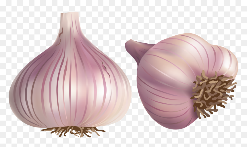 Png Pinterest Clip - Spices Vector, Transparent Png - onion png images