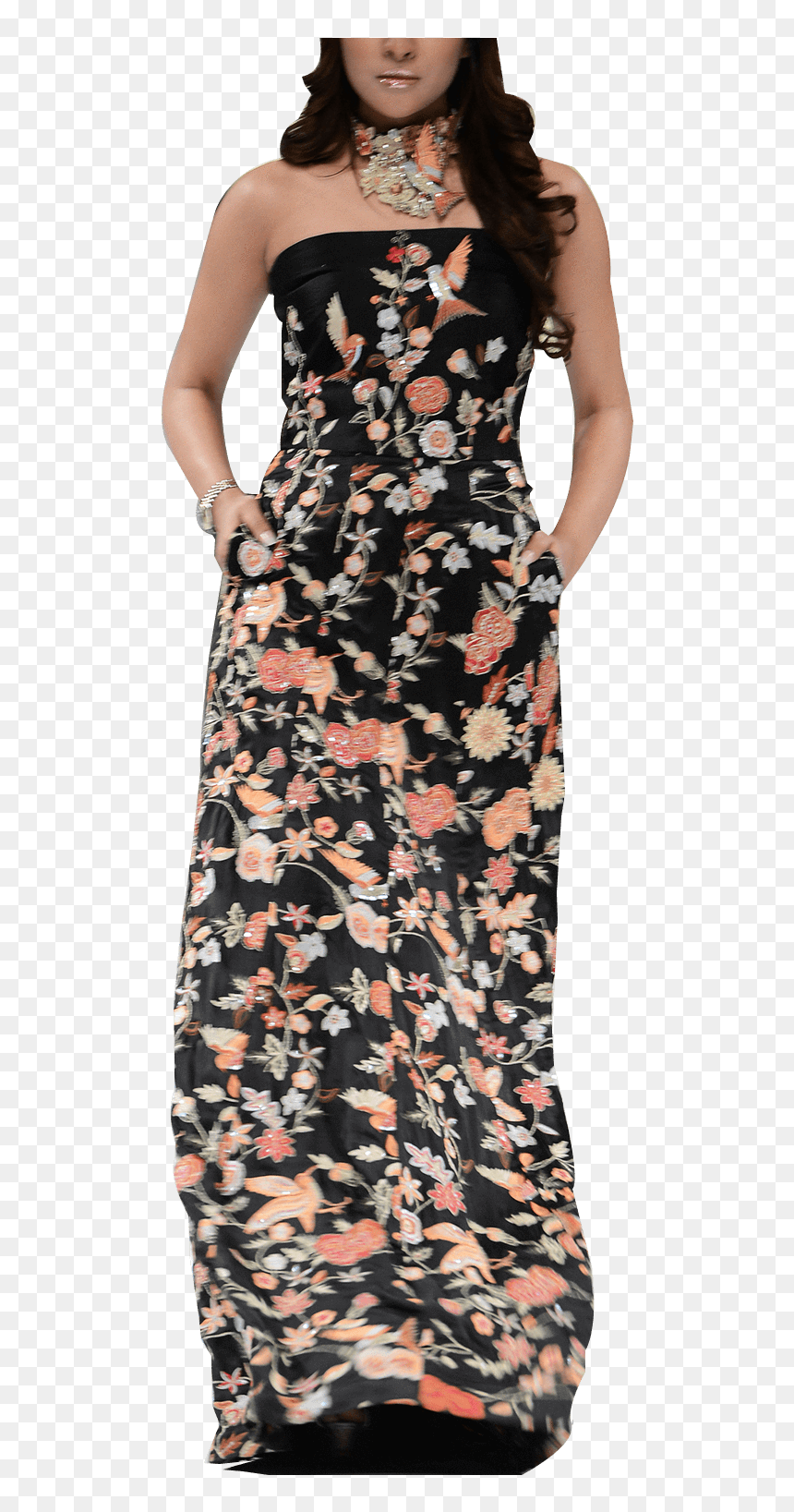 Gown, HD Png Download - gulmohar tree png