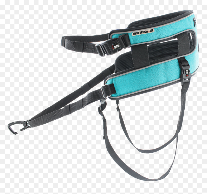 Baudrier Canyon Coté Gauche Png - Dog Baudrier Canyon, Transparent Png - dog belt png