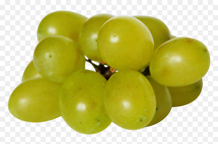 Transparent Grapes Png - Weintrauben Giftig Für Hunde, Png Download - grapes png images