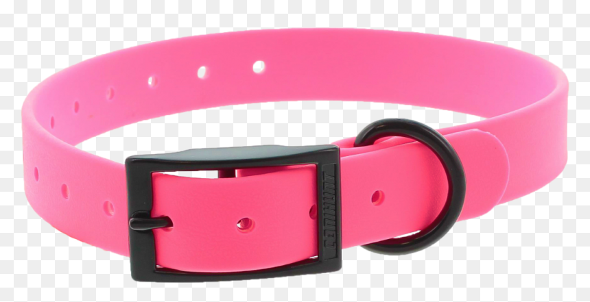 C142503 - Belt, HD Png Download - dog belt png