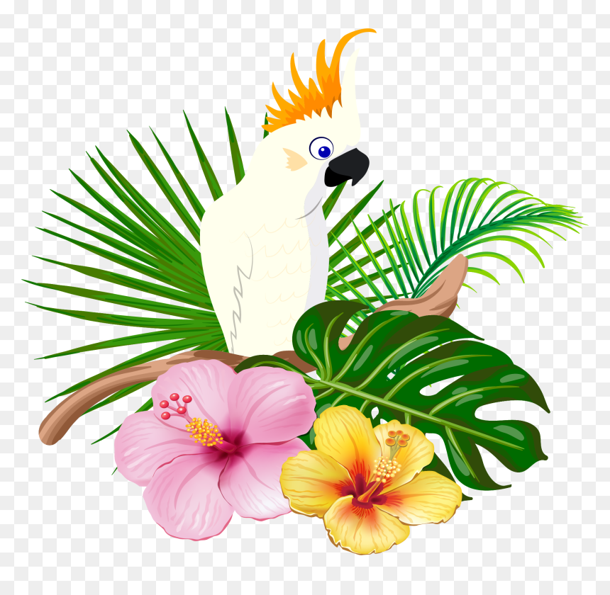 Parrot Bird Floral Design - Gambar Bunga Dan Burung Kakatua Png, Transparent Png - green parrot png