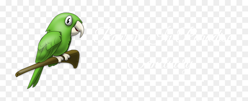 Parakeet, HD Png Download - green parrot png