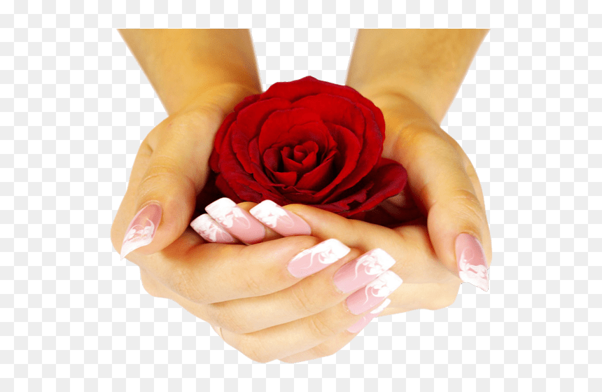 Red Rose In My Hand, HD Png Download - wedding hands images png