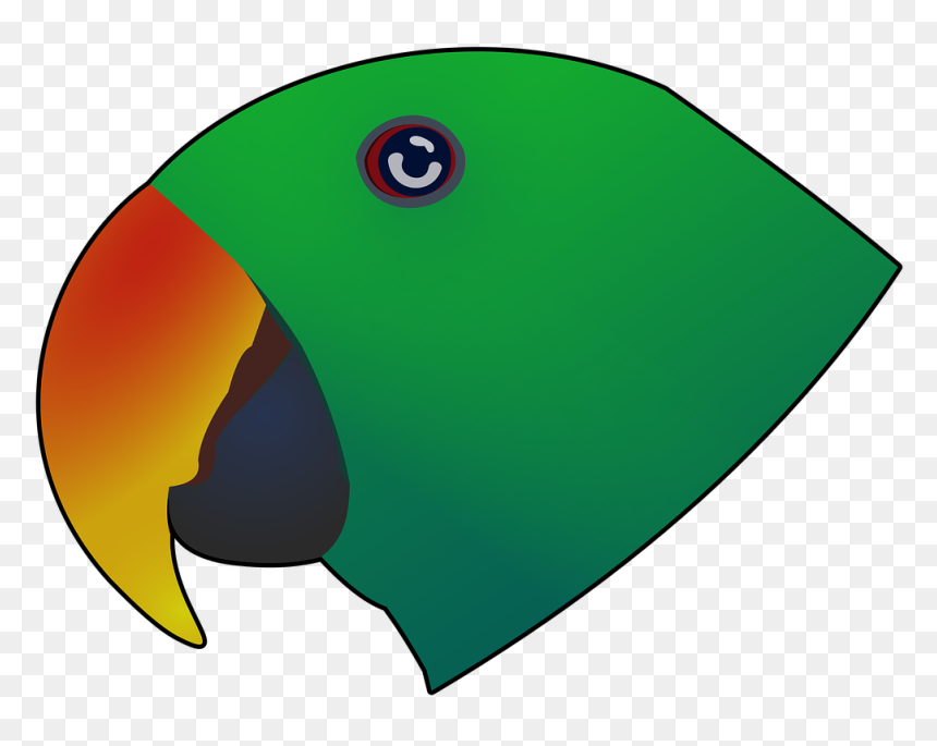 Eclectus, Bird, Parrot, Beak, Eccy, Green Parrot - Illustration, HD Png Download - green parrot png