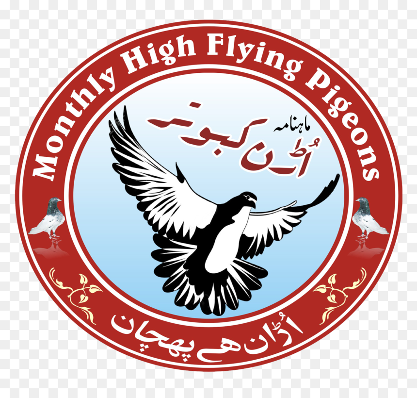 Toledo Community Foundation, HD Png Download - pigeons flying png