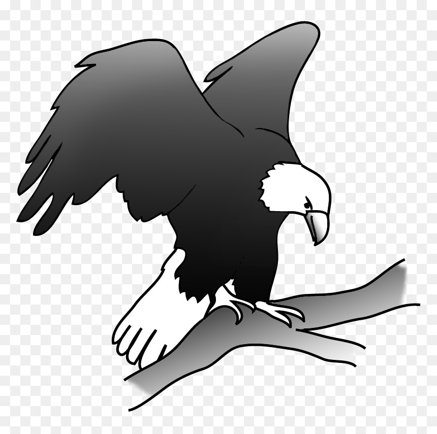 Eagle On A Branch In A Tree - Eagle On Branch Drawing, HD Png Download - eagle sitting png
