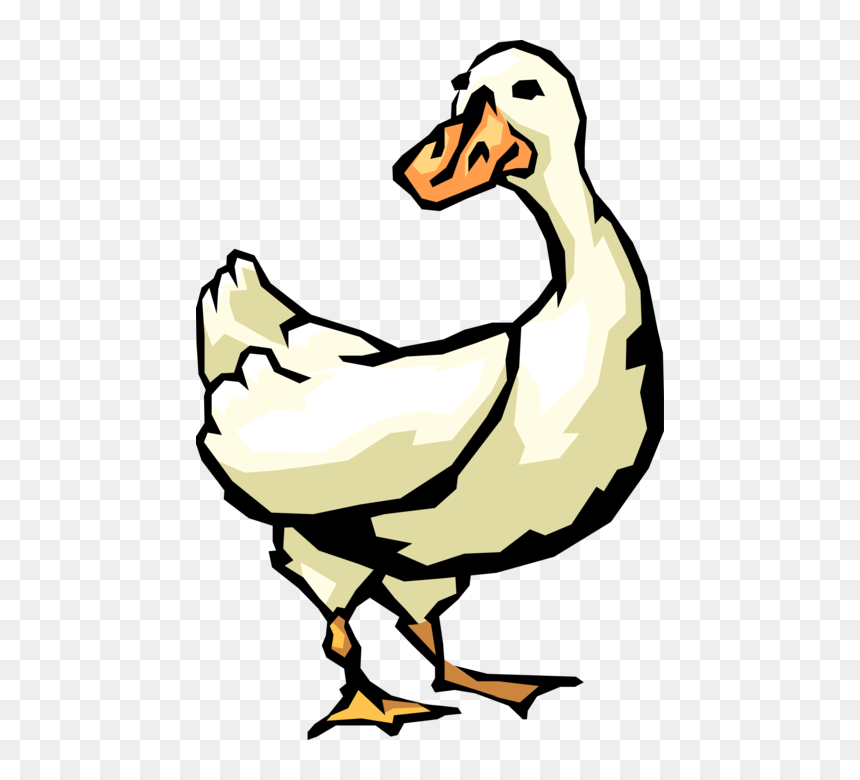 Vector Illustration Of White Waterfowl Duck Bird - Duck, HD Png Download - white duck png