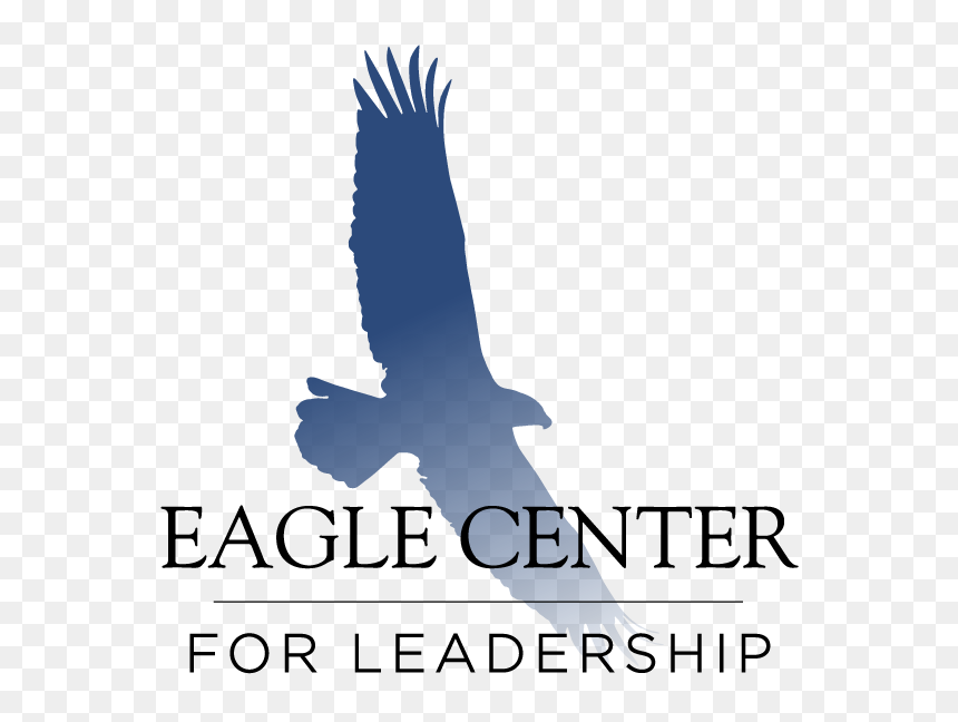 Eagle Sitting Png, Transparent Png - eagle sitting png