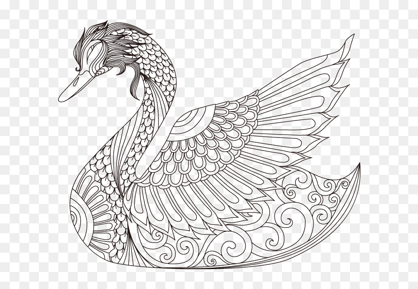 Swan Drawing, HD Png Download - white duck png