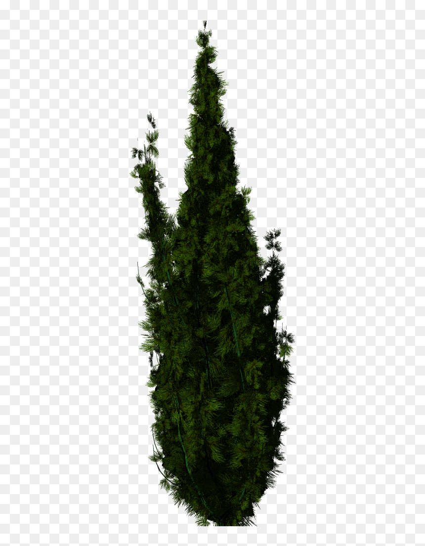 Trees For Photoshop, Hd Png Download , Png Download - Trees For Photoshop, Transparent Png - tree for photoshop png