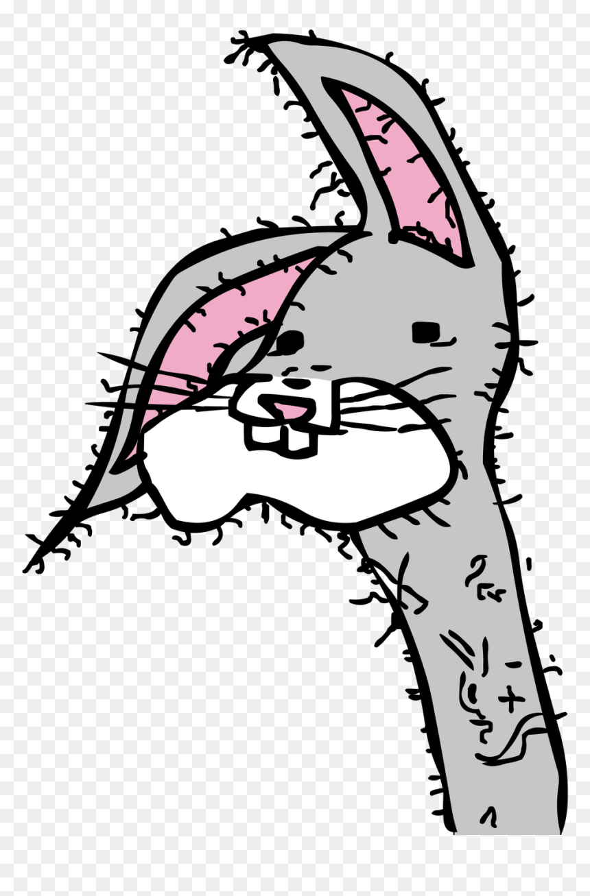 The Bunny Kind Of Reminds Me Of This Fellar, HD Png Download - mooch png