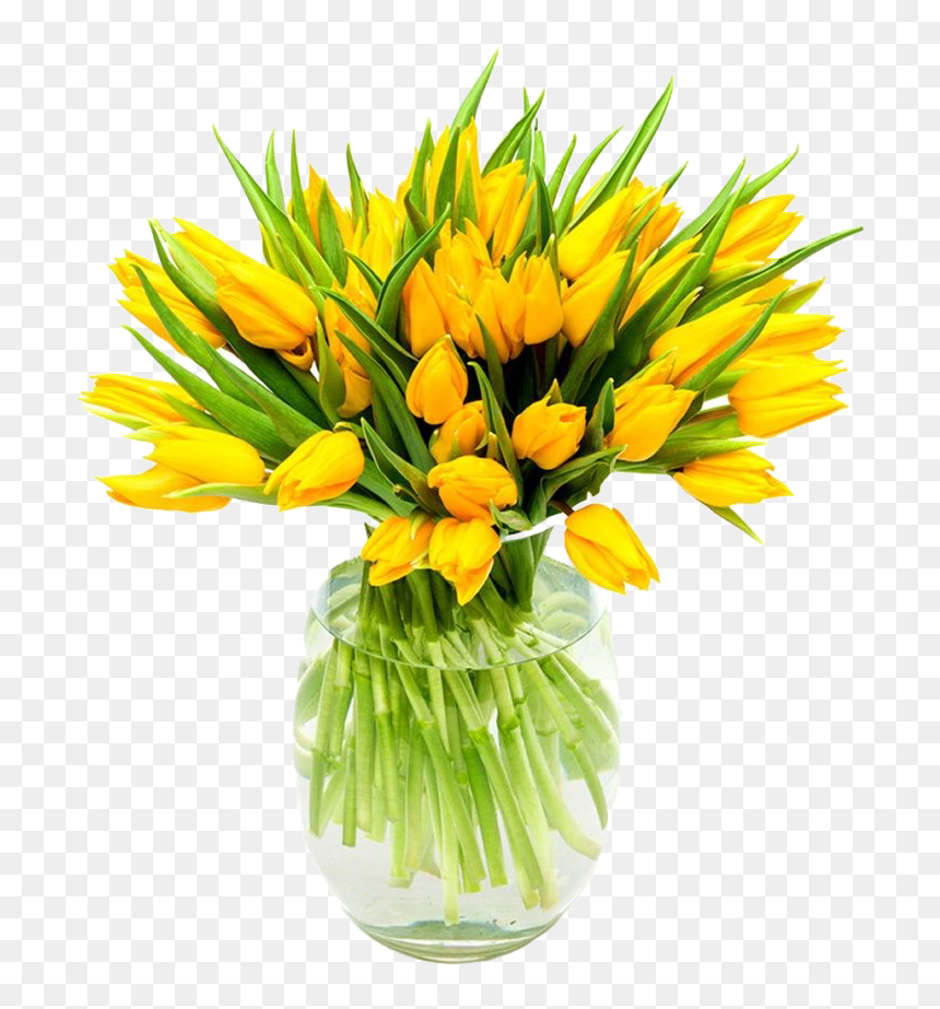 Yellow Tulips Png Background - Flowers Yellow, Transparent Png - yellow green background png