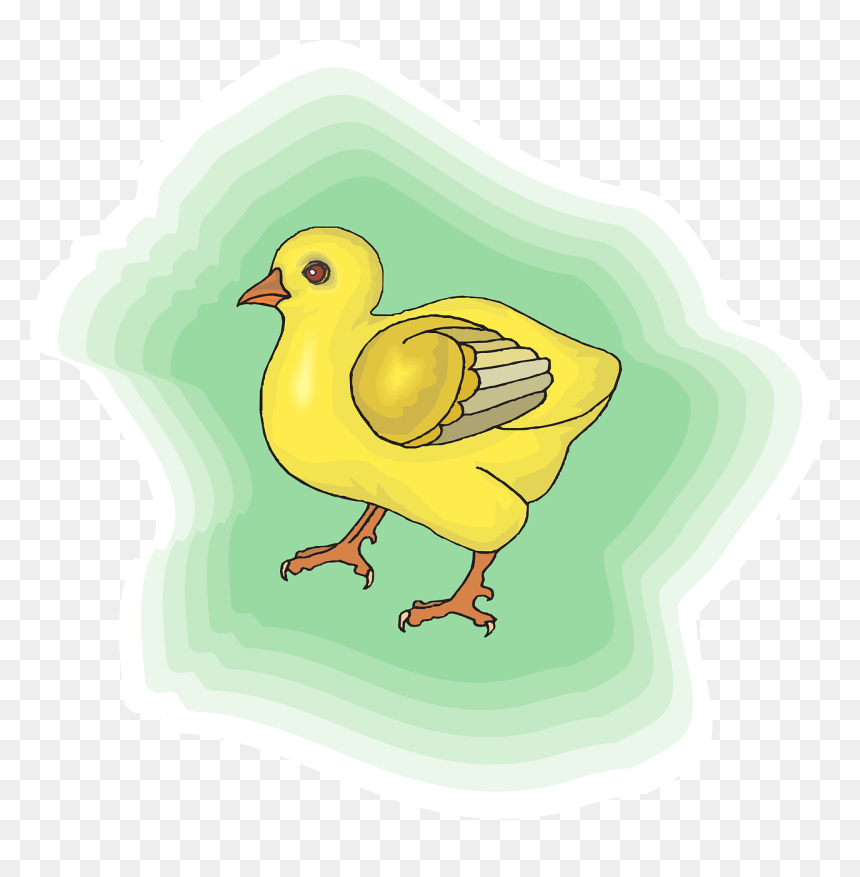 Chicken, HD Png Download - yellow green background png